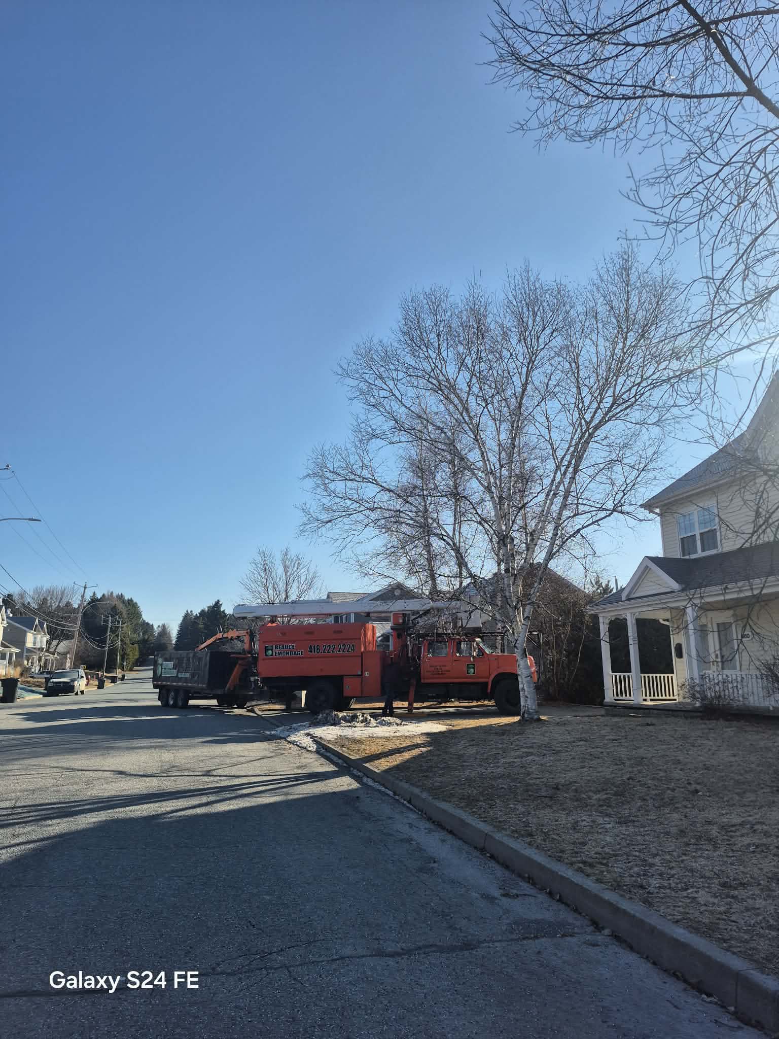 Beauce Émondage à Saint-Georges