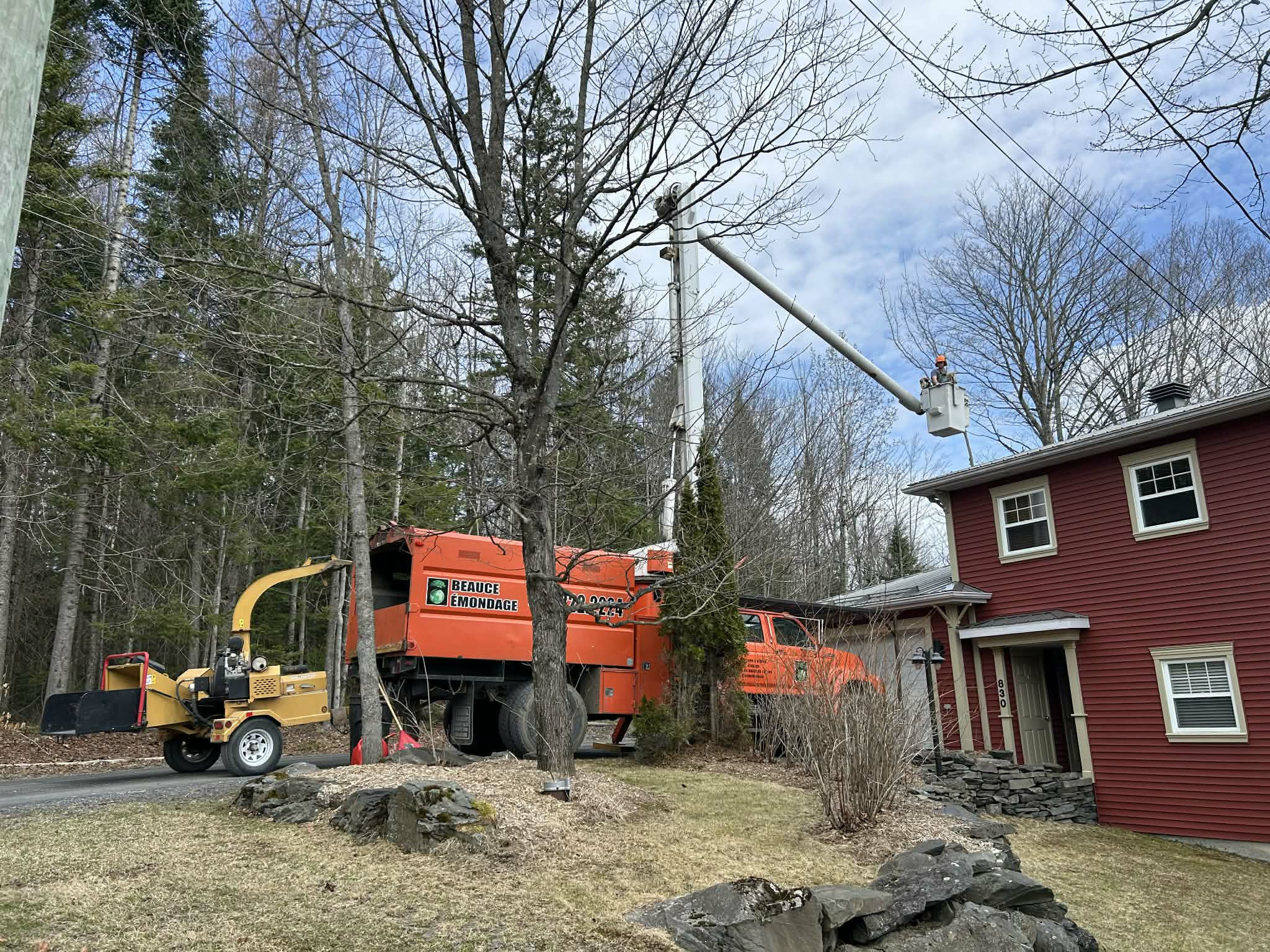 Beauce Émondage à Saint-Georges