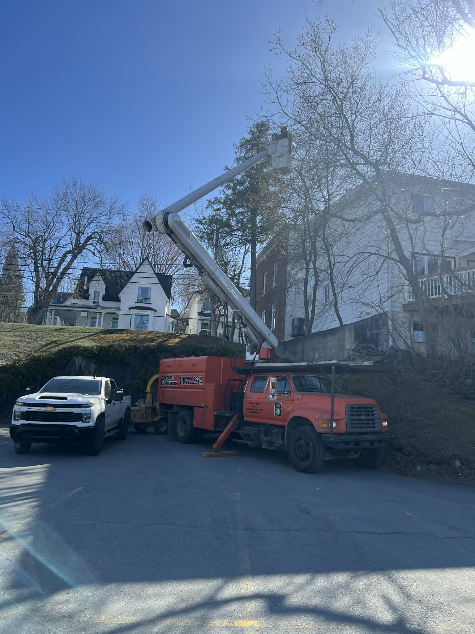 Beauce Émondage à Saint-Georges
